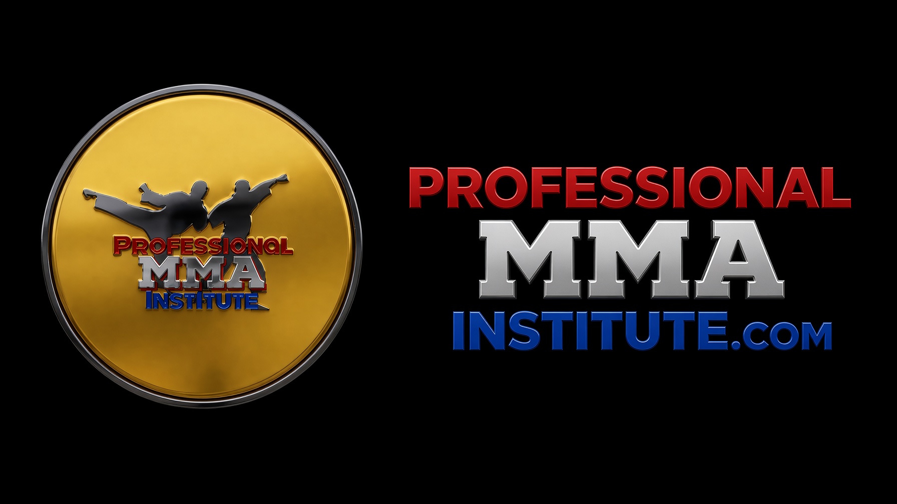 Professional MMA Institute